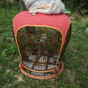 RM 5,000 bird cage!