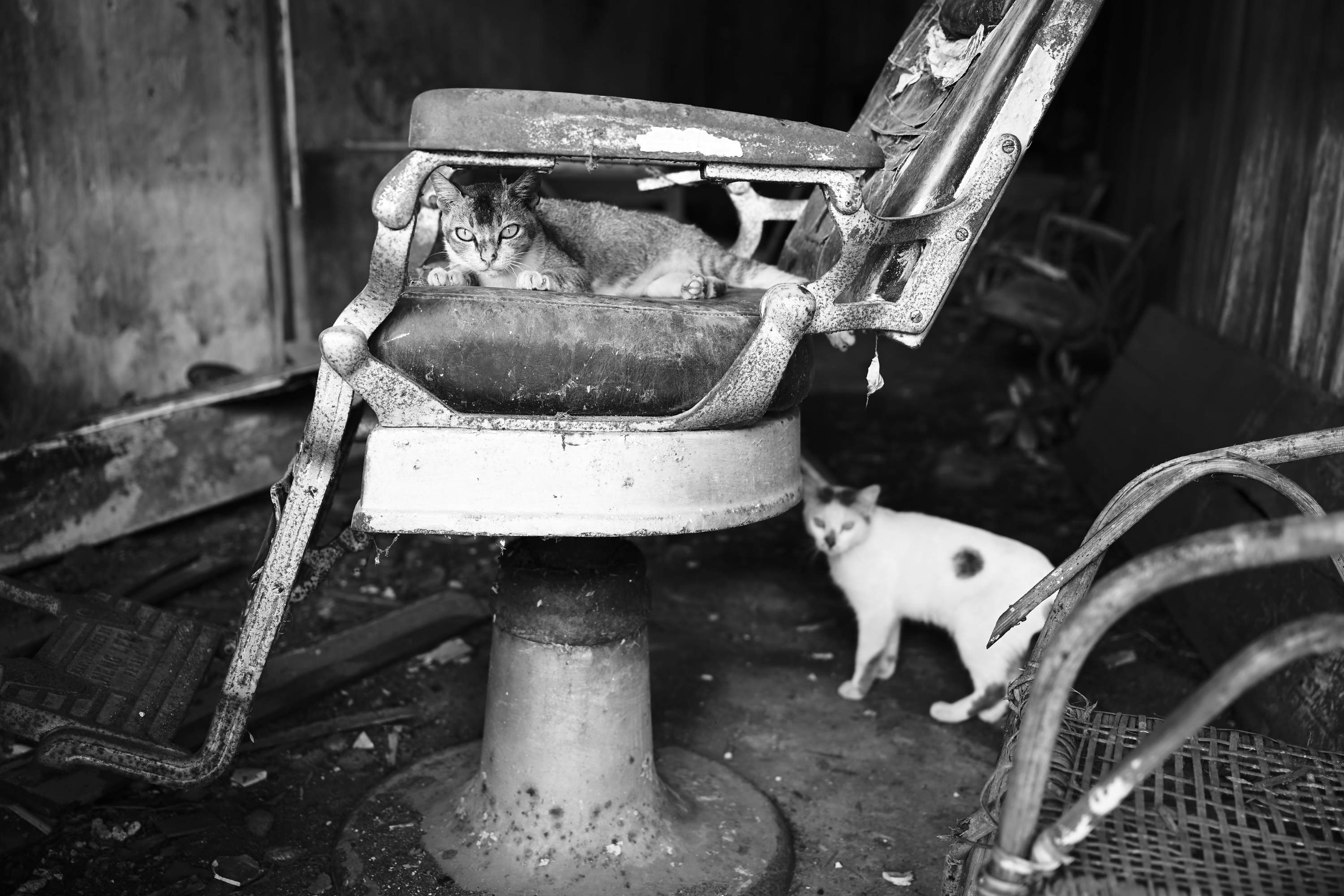 Abandoned barber shop at Papan Heritage Village